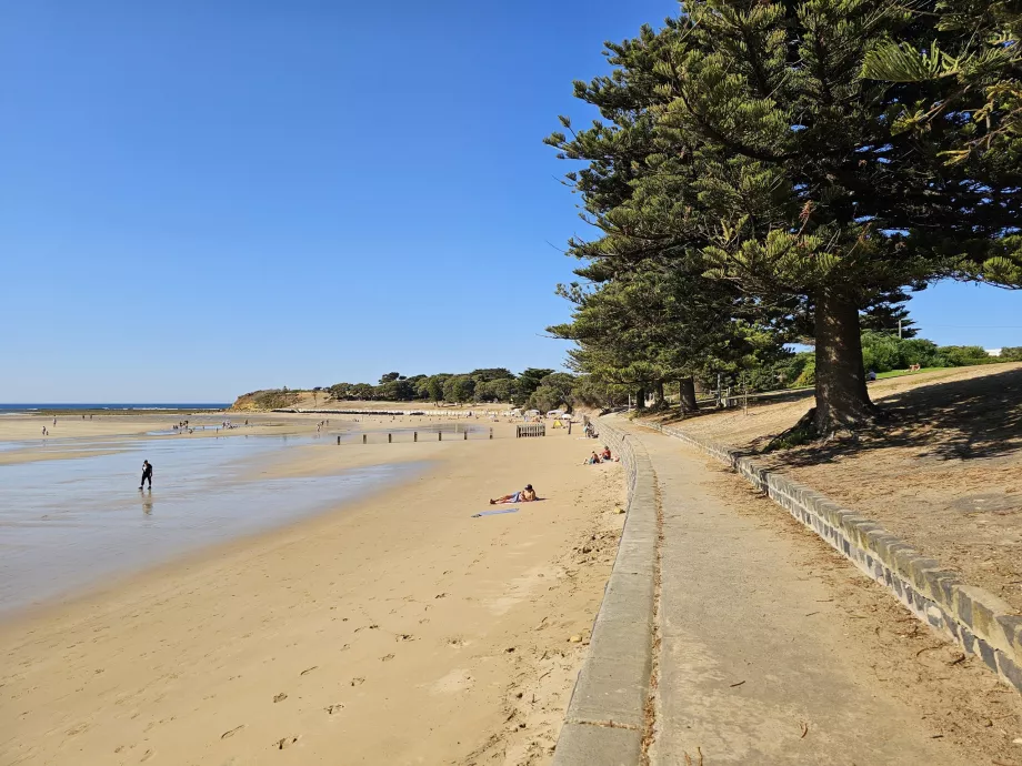 Passeggiata di Torquay